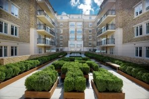 Landscaped Central Courtyard